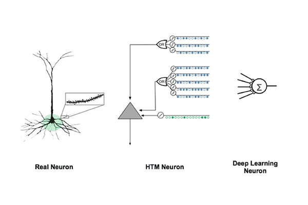 Real, HTM, and Deep Learning neurons